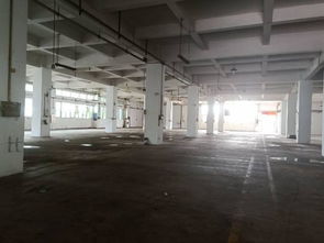 全新五層廠房招租 優越位置，靈活空間，助您事業騰飛